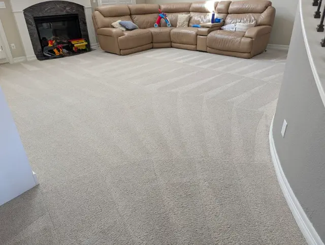 Ever Steam Carpet Cleaning LLC — photo from the business 2