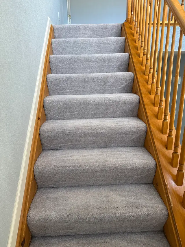 Ever Steam Carpet Cleaning LLC — customer photo 4