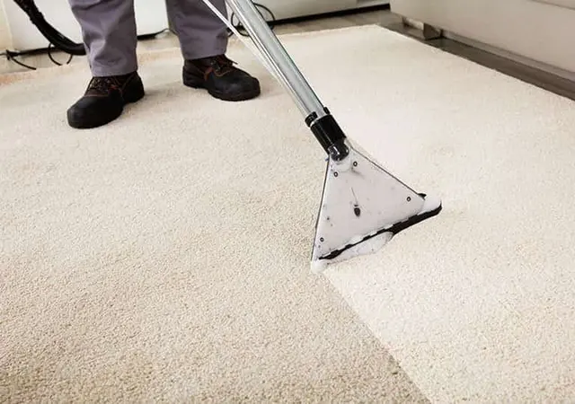 Ever Steam Carpet Cleaning LLC — photo from the business 9