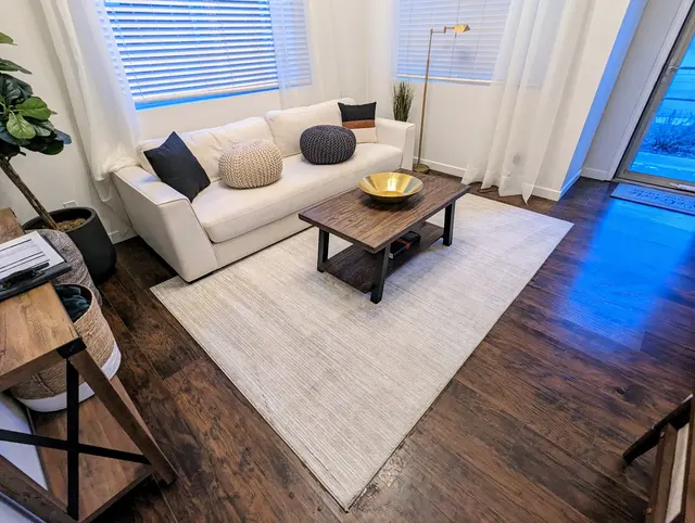 Ever Steam Carpet Cleaning LLC — photo from the business 12