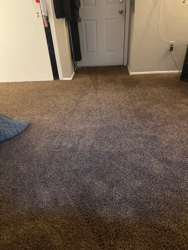 Customer photo from Maria's review