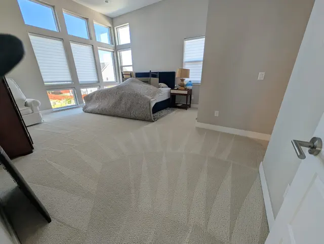 Ever Steam Carpet Cleaning LLC — photo from the business 3