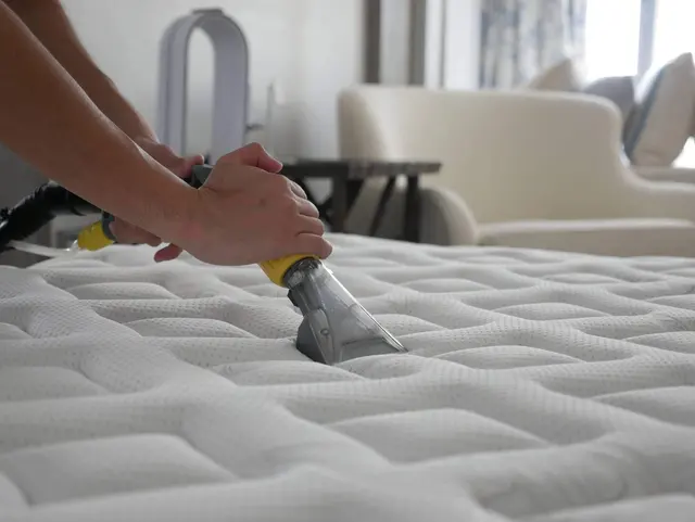 Ever Steam Carpet Cleaning LLC — photo from the business 6