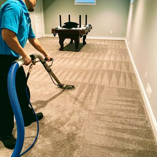 Ever Steam Carpet Cleaning LLC — photo from the business 5