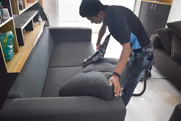 Ever Steam Carpet Cleaning LLC — photo from the business 10