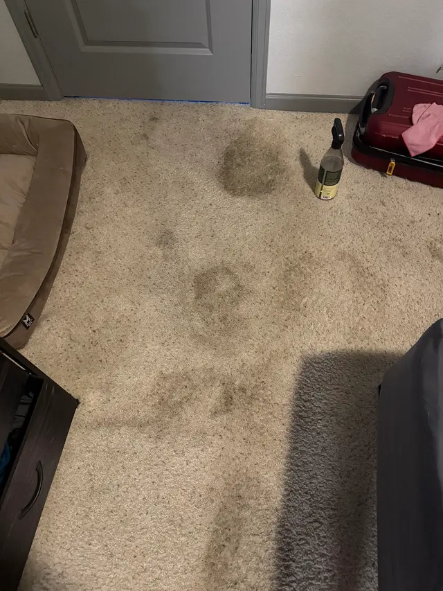 Customer photo from Camdyn's review