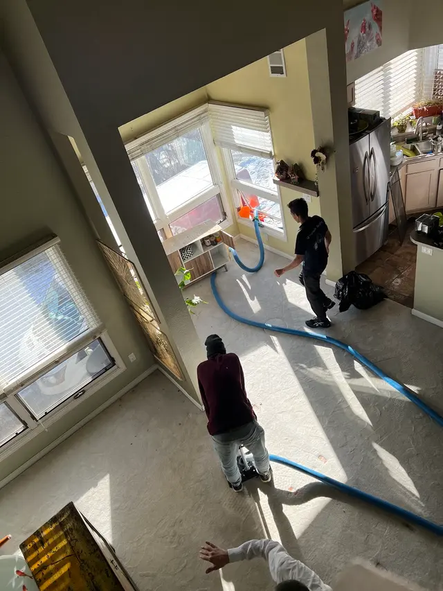 Red Rocks Carpet Cleaning & Upholstery Care — customer photo 12