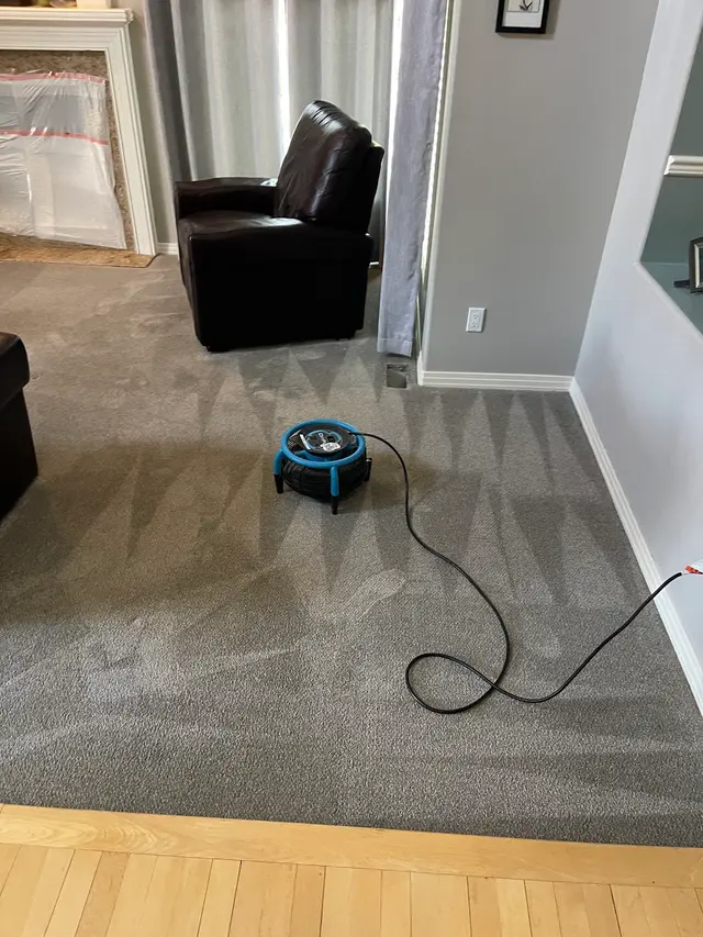 Red Rocks Carpet Cleaning & Upholstery Care — customer photo 2