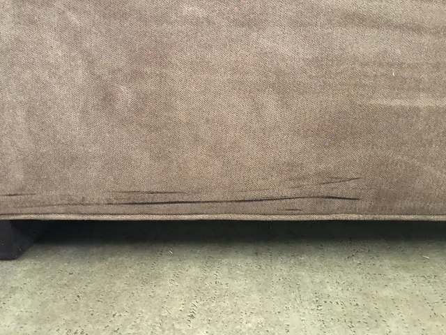 Red Rocks Carpet Cleaning & Upholstery Care — customer photo 9