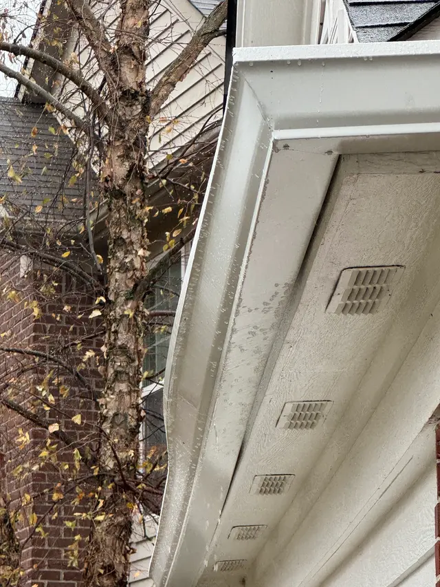 Customer photo of work by Two Men and a Gutter, from Sara Lencheck's review