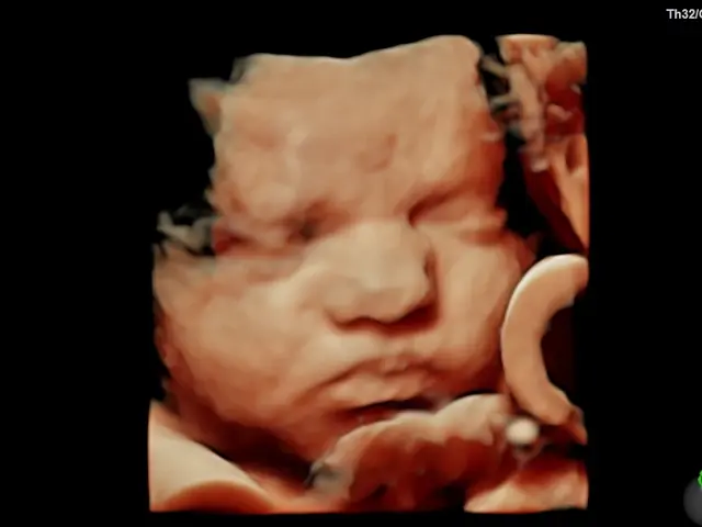 Expressions 3D/4D Ultrasounds & Photography — photo from the business 1