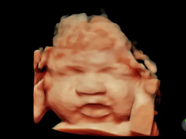 Expressions 3D/4D Ultrasounds & Photography — photo from the business 5