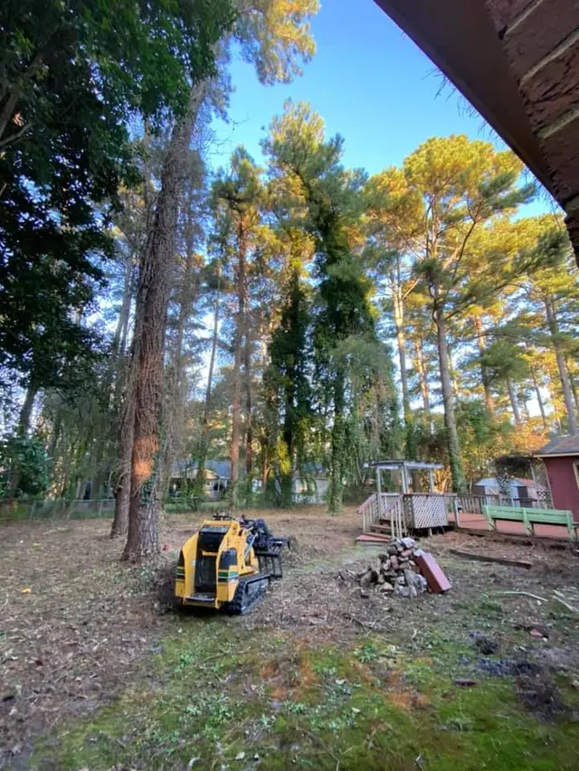 Precision Tree Trimming and Removal, LLC — photo from the business 6