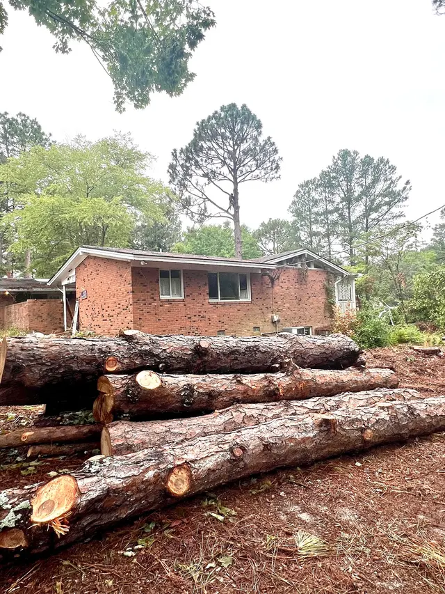 Precision Tree Trimming and Removal, LLC — customer photo 11
