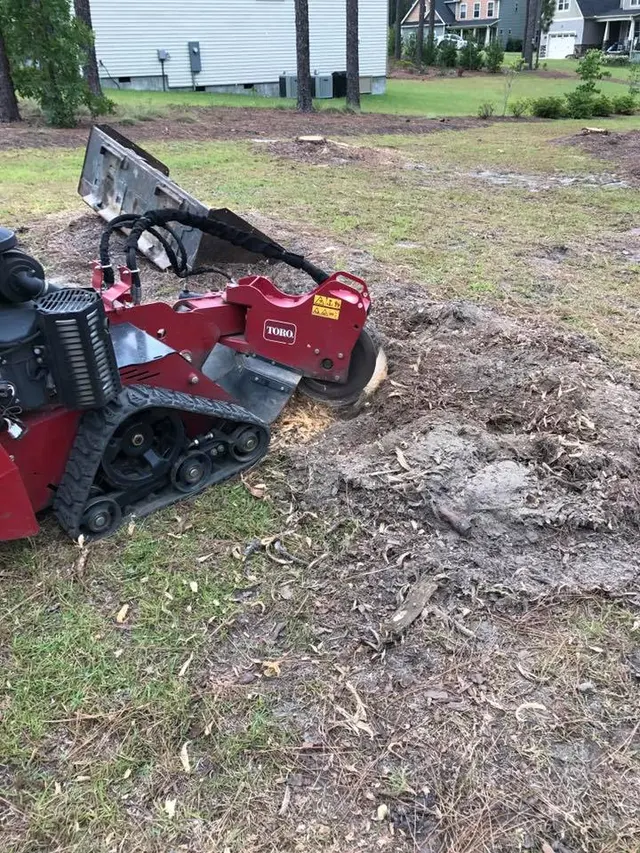 Precision Tree Trimming and Removal, LLC — photo from the business 9