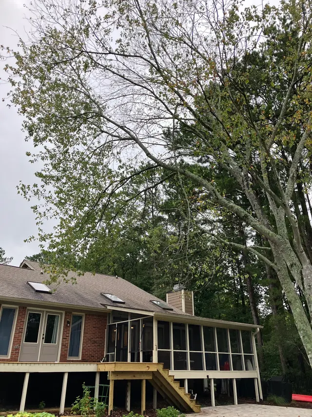 Tactical Trees — photo from the business 12