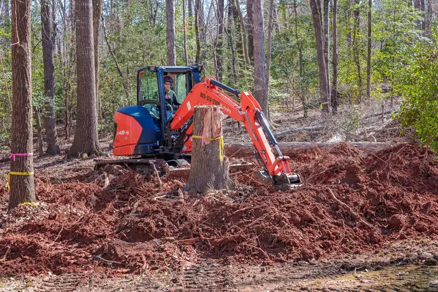 Dave's Tree Service, LLC — photo from the business 10