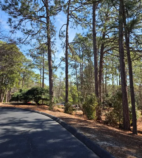 Dave's Tree Service, LLC — photo from the business 7