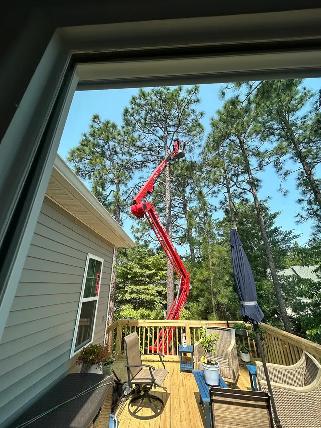 Dave's Tree Service, LLC — customer photo 1