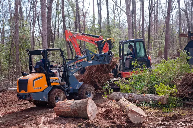Dave's Tree Service, LLC — photo from the business 5
