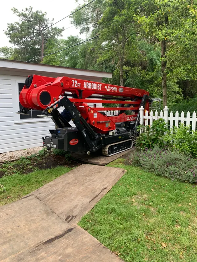 Dave's Tree Service, LLC — photo from the business 12