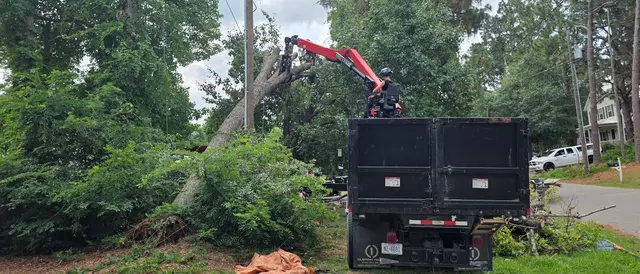 Dave's Tree Service, LLC — photo from the business 4