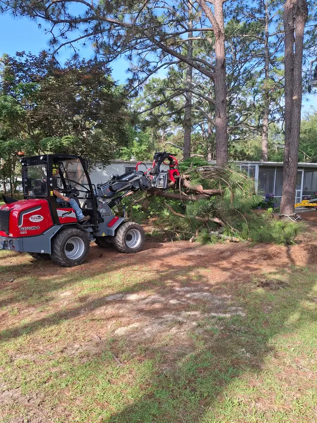 Dave's Tree Service, LLC — customer photo 2