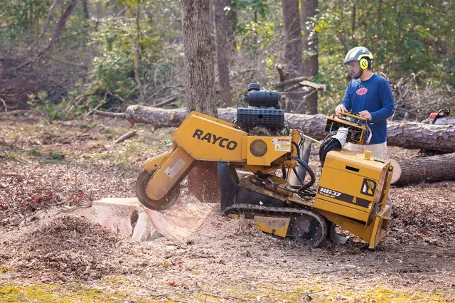Dave's Tree Service, LLC — photo from the business 9
