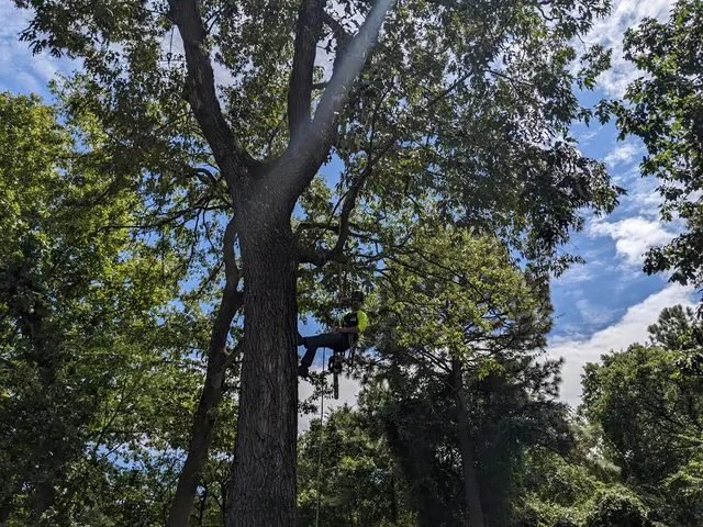 One Healthy Tree Care LLC — photo from the business 6