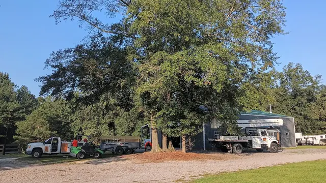 One Healthy Tree Care LLC — photo from the business 7