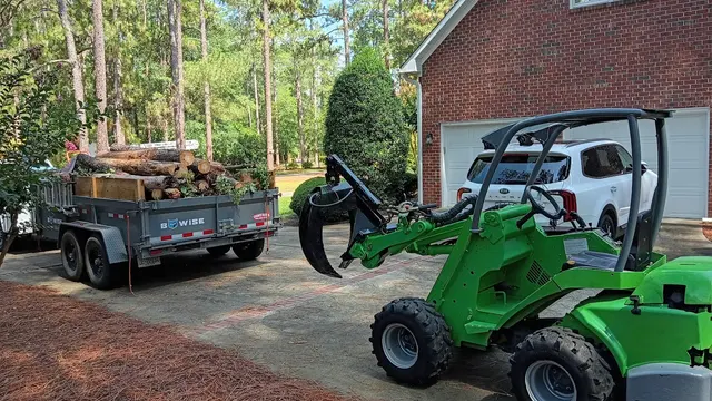 One Healthy Tree Care LLC — photo from the business 2