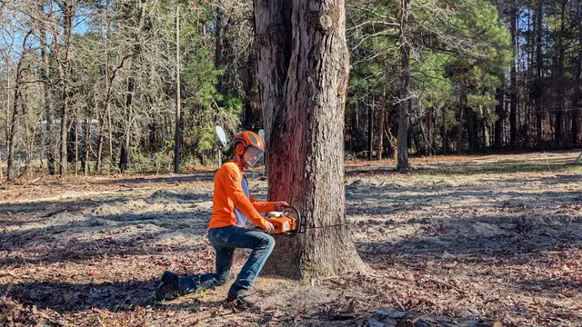 One Healthy Tree Care LLC — photo from the business 8