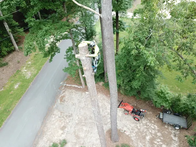 One Healthy Tree Care LLC — photo from the business 11