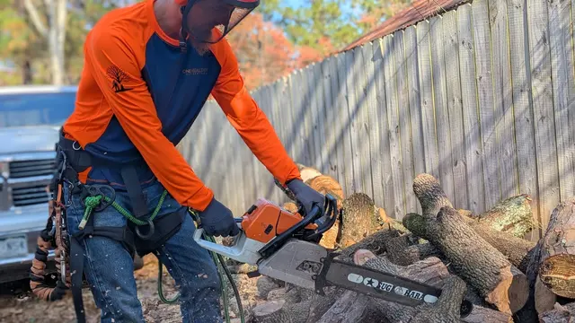 One Healthy Tree Care LLC — photo from the business 4