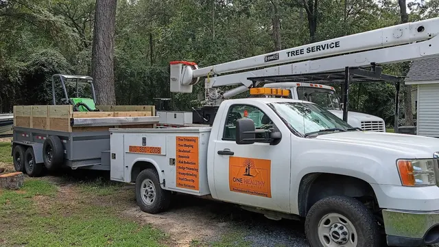 One Healthy Tree Care LLC — photo from the business 5