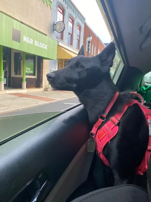 H&R Block — customer photo 4