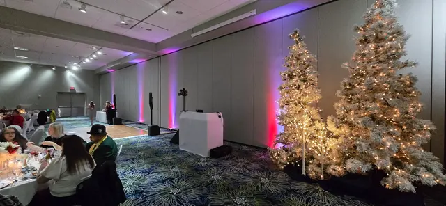 Apogee Event Productions — photo from the business 12
