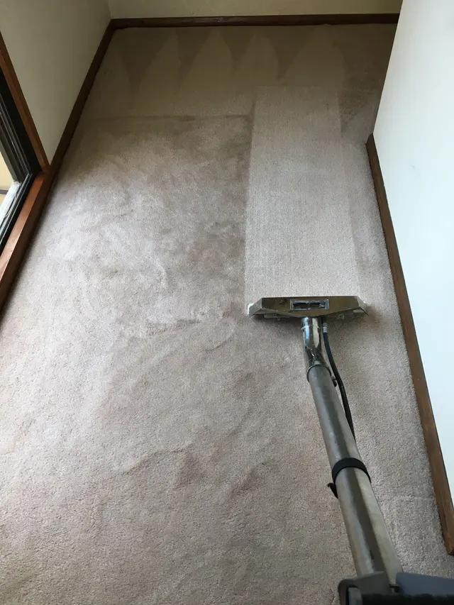 Socal Steam Clean & Carpet Cleaning — photo from the business 5
