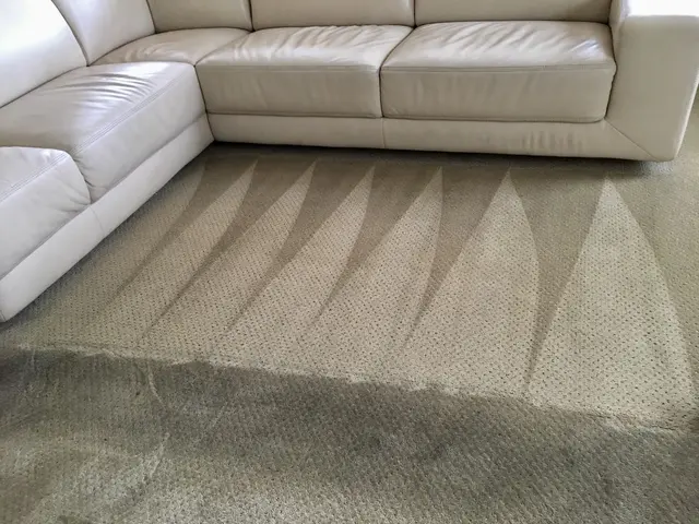 Socal Steam Clean & Carpet Cleaning — photo from the business 11