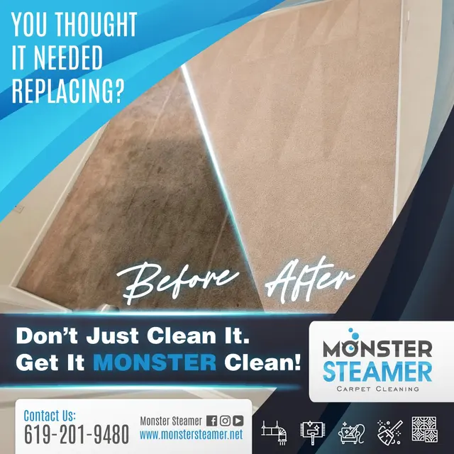 Monster Steamer Carpet Cleaning — photo from the business 3