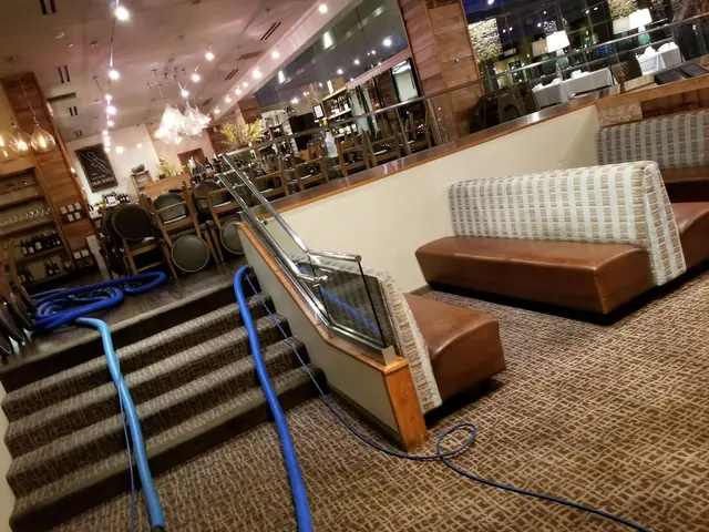 Monster Steamer Carpet Cleaning — photo from the business 11