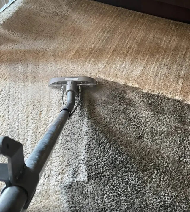 Monster Steamer Carpet Cleaning — photo from the business 1