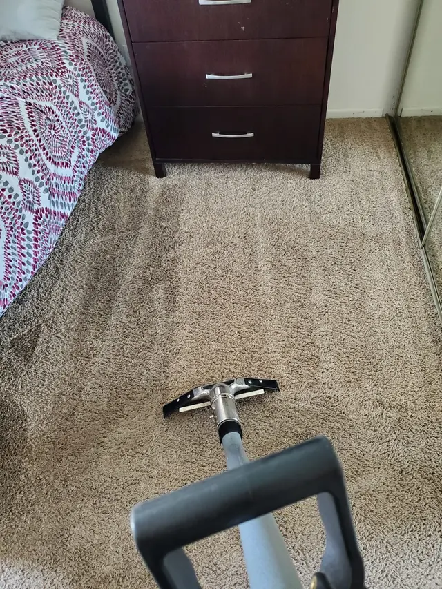 Monster Steamer Carpet Cleaning — photo from the business 4