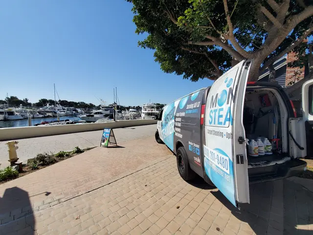 Monster Steamer Carpet Cleaning — photo from the business 6