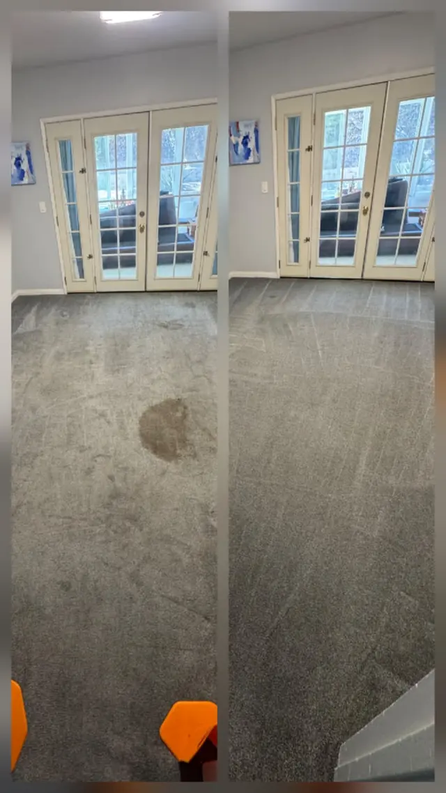 Monster Steamer Carpet Cleaning — photo from the business 2