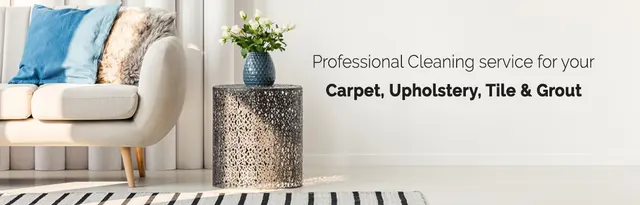 Imperial Carpet Cleaning San Diego — photo from the business 1