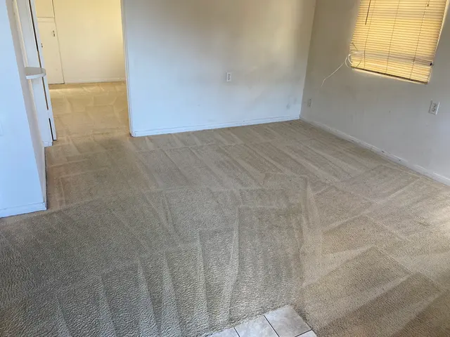 Imperial Carpet Cleaning San Diego — customer photo 4