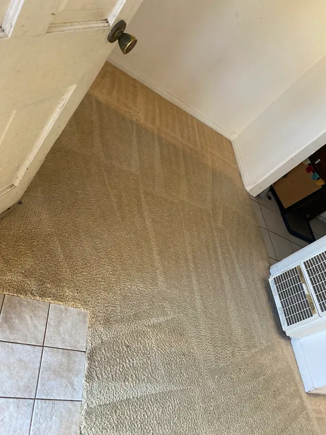 Customer photo of work by Imperial Carpet Cleaning San Diego, from Alex Nichols's review