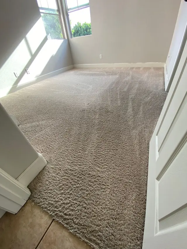 Imperial Carpet Cleaning San Diego — photo from the business 5