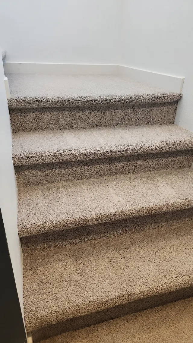 Under The Rug Floorcare Carpet Cleaning San Diego — customer photo 5